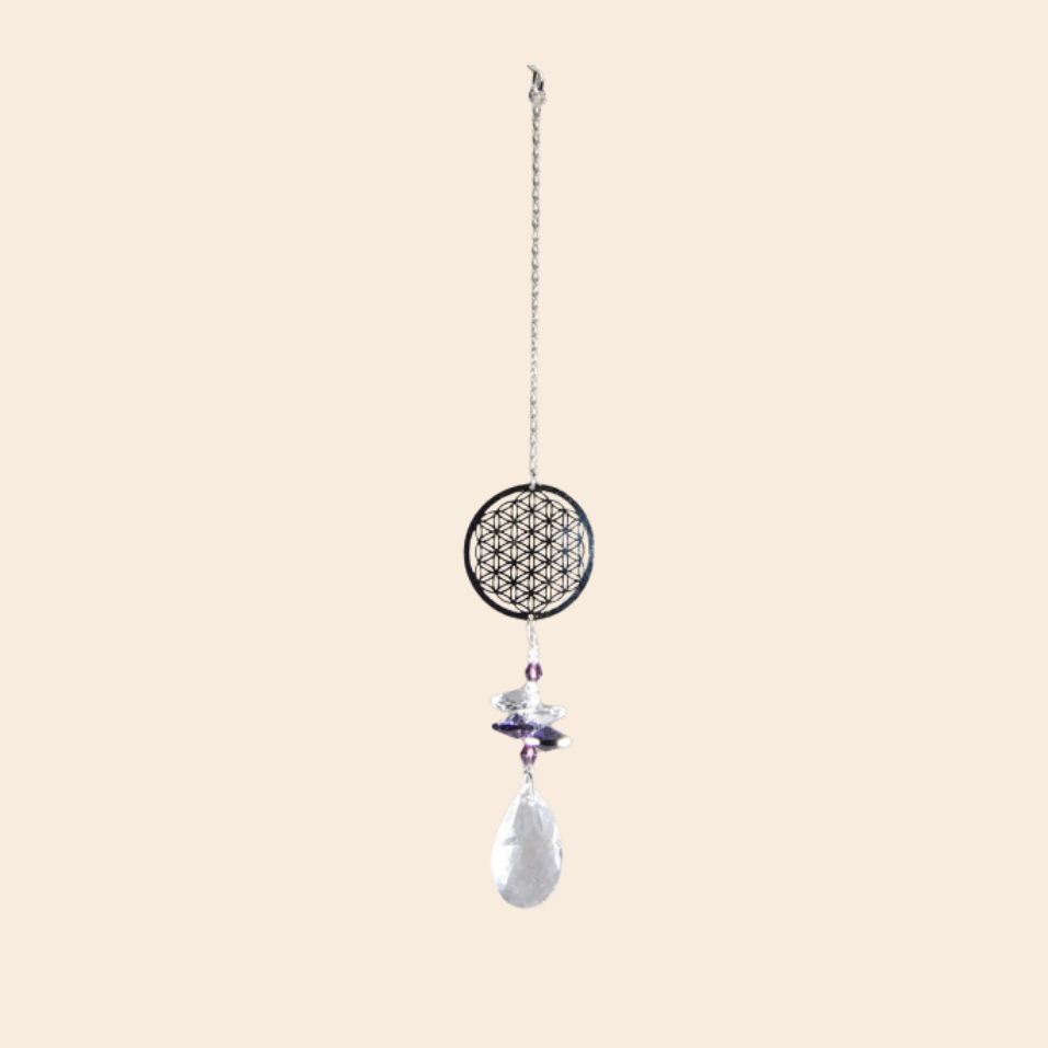 berk suncatcher different types 1pc
