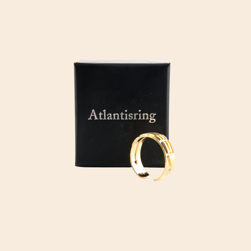 berk ring of atlantis man 1pc